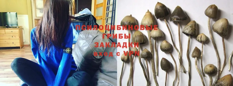 мега ссылка  Иланский  Псилоцибиновые грибы Magic Shrooms  купить наркоту 